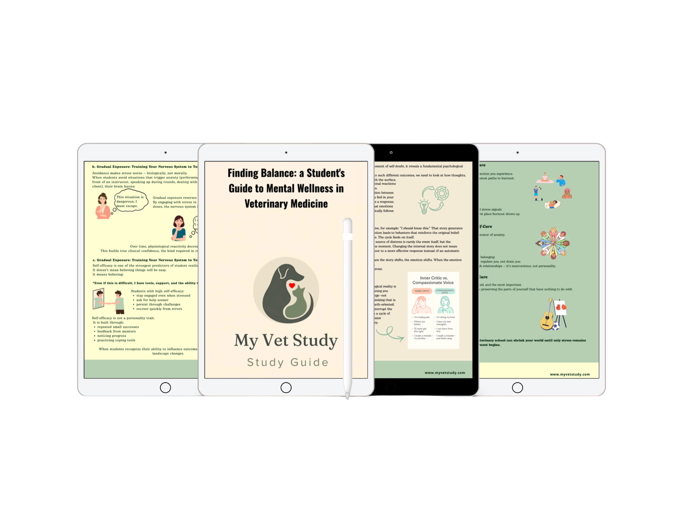 MasterVet Series: Mental Wellness & Emotional Resilience